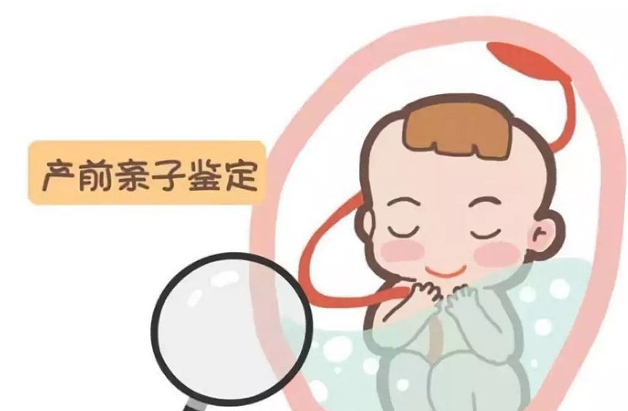 苏州产前亲子鉴定准确吗,